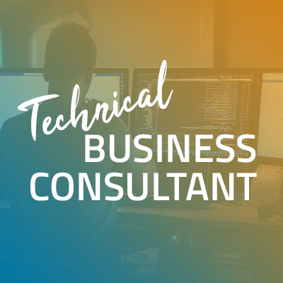 Technical Business Consultant - Bizzkit