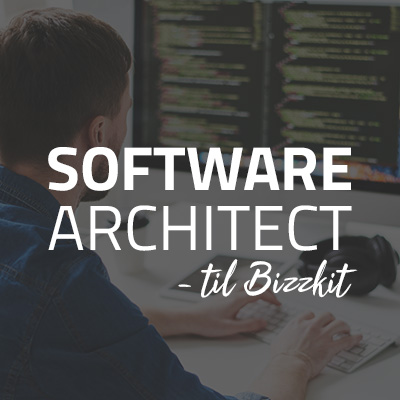 Software Architect - Bizzkit